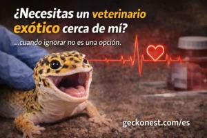 veterinario exotico cerca de mi gecko leopardo emergencia sintomas veterinario reptiles