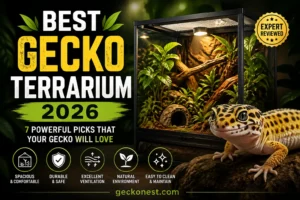 best gecko terrarium 2026 leopard gecko habitat setup with modern glass terrarium and natural decor