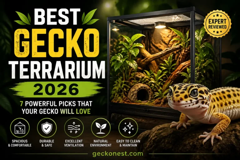 Best Gecko Terrarium 2026: 7 Powerful Picks That Your Gecko Will Love