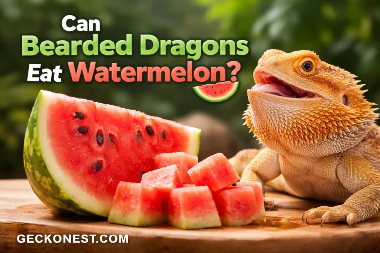 Can Bearded Dragons Eat Watermelon? The Juicy Truth Every Owner Should Know