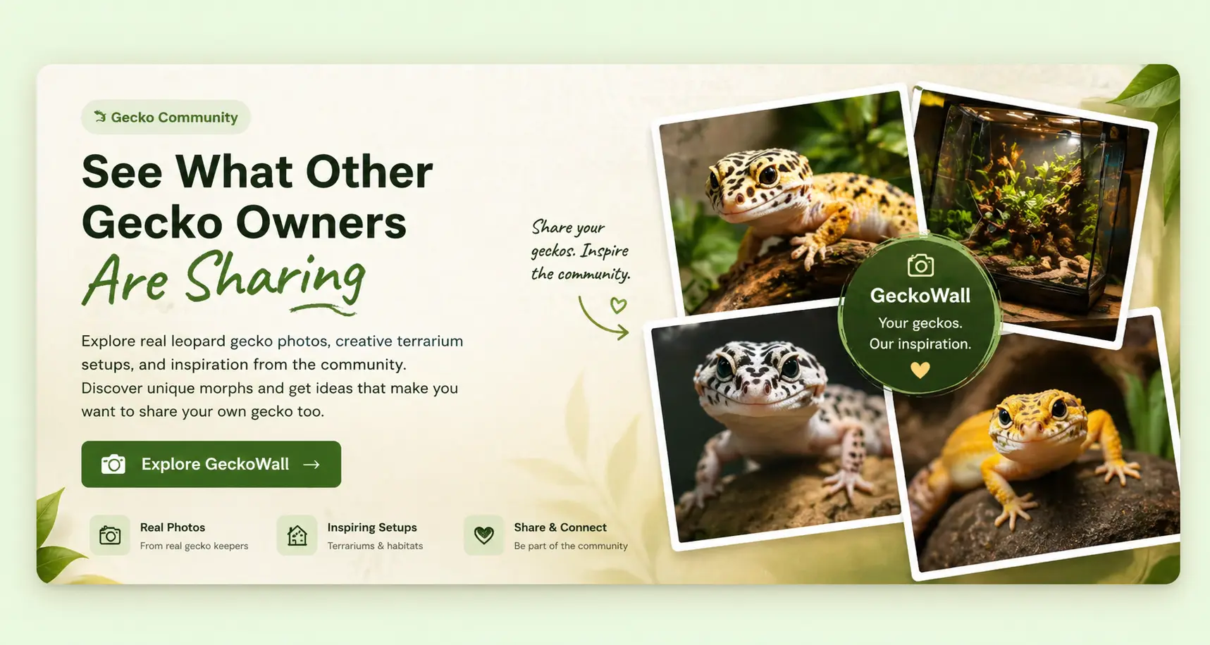 GeckoWall community banner showing gecko photos, terrarium setups, and reptile inspiration on GeckoNest