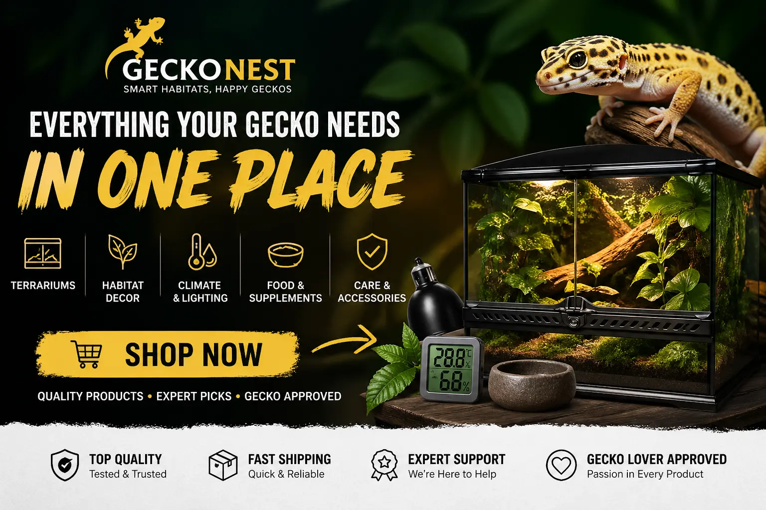 best gecko terrarium 2026 premium habitat setup with leopard gecko and rainforest terrarium