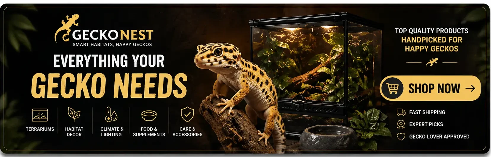 best gecko terrarium 2026 shop banner