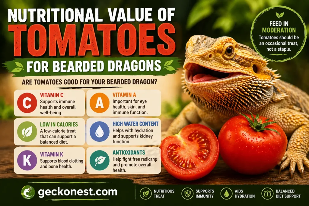 nutritional value of tomatoes for bearded dragons vitamins and benefits infographic