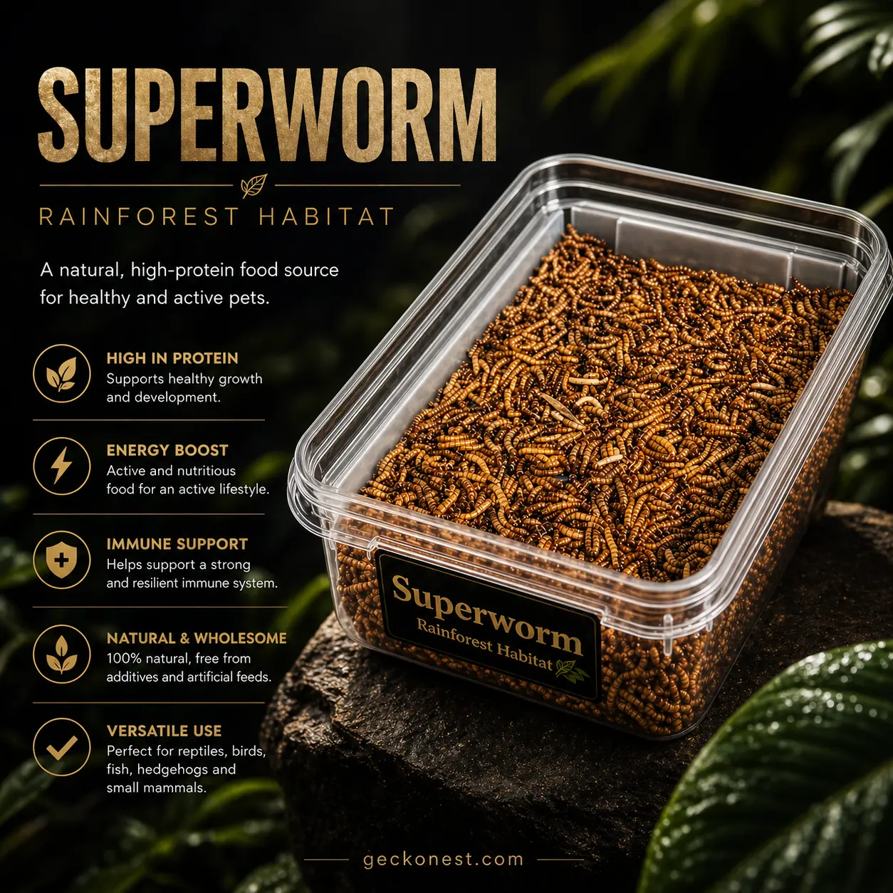 300 Live Superworms (Large)
