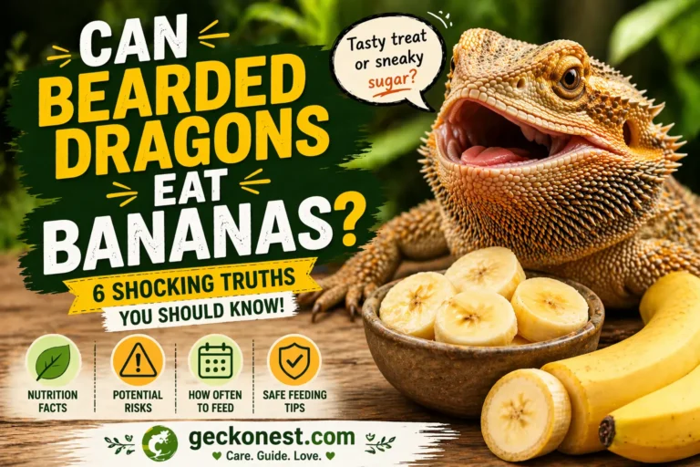 Can Bearded Dragons Eat Bananas? 6 Shocking Truths Every Owner Must Know