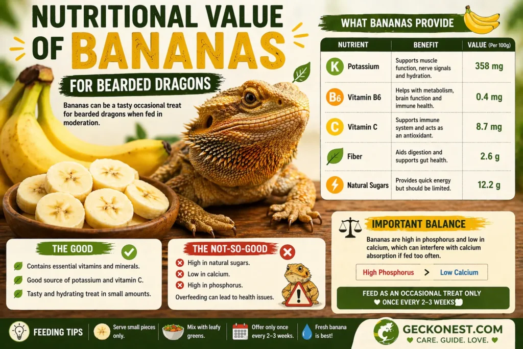 nutritional value of bananas for bearded dragons vitamins potassium sugar infographic